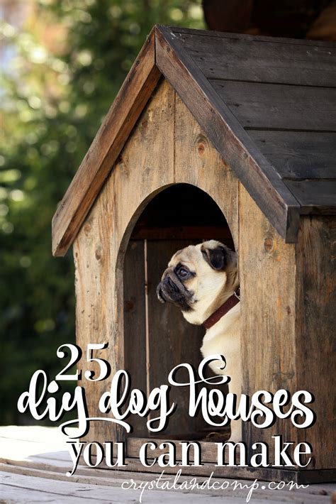 easy diy dog houses