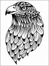 Eagles Galore sketch template