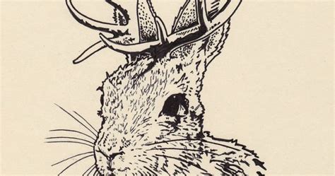 jackalope  jasonkoza  deviantart random pinterest