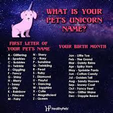 image result  unicorn names unicorn names pet names  pet