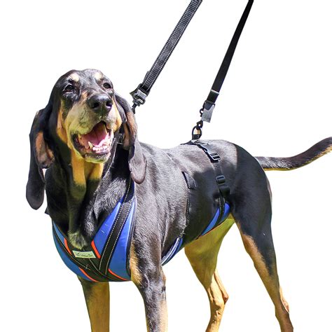 walkin pets lift  step dog harness  full body support blue large walmartcom