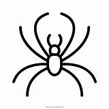 Aranha Colorir Beetle Ultracoloringpages sketch template