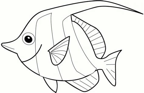 rainbow fish coloring page background colorist