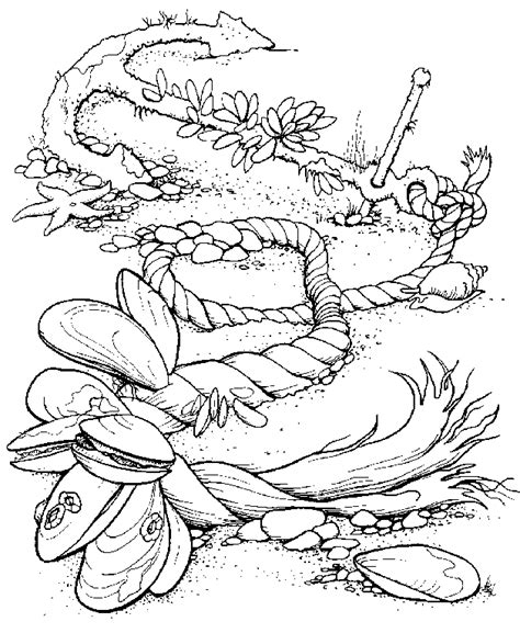 coloring pages ocean scene ocean coloring pages  coloring