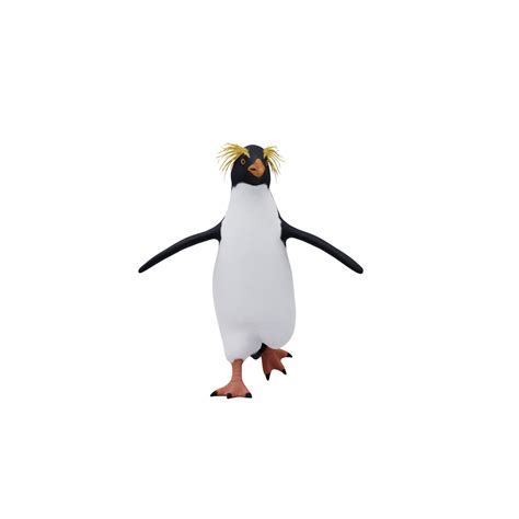 Erect Crested Penguin Isolated 18875924 Png