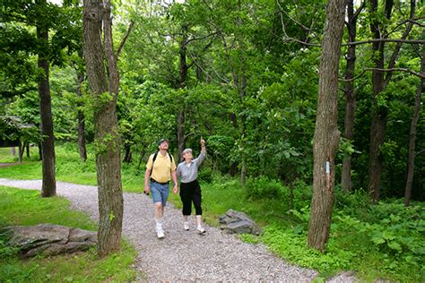 virginia hiking trails blue ridge parkway  national park service