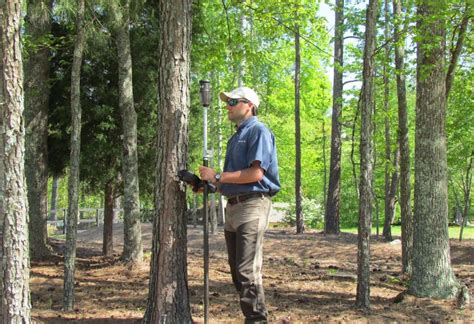 tree survey homerwatchatrust   smart strategies