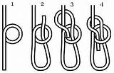 Bowline Knots Bend Sheet Hitch Knoten Untie Rope Becket Untied Weaver sketch template