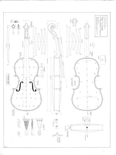 parts   violin violin diagram violin measurements violin art violin design violin