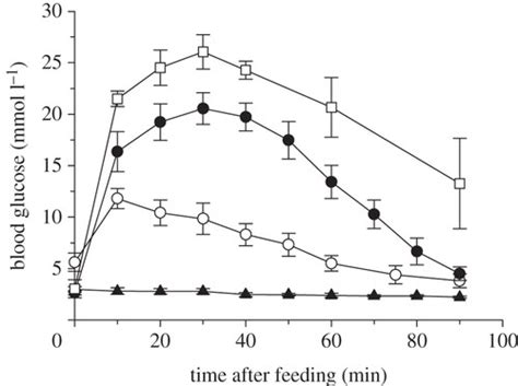 high activity enables life   high sugar diet blood glucose regulation  nectar feeding bats