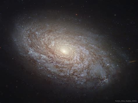 apod  november  ngc   flocculent spiral galaxy