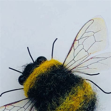 bumble bee wing  etsy uk