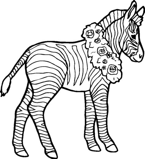 animal coloring pages  printable coloring pages