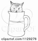 Pitcher Water Coloring Clipart Curious Kitten Outlined Pouring Pages Vector Template sketch template