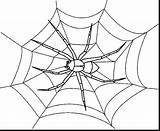Web Getcolorings Spiders Funnel Charlottes sketch template