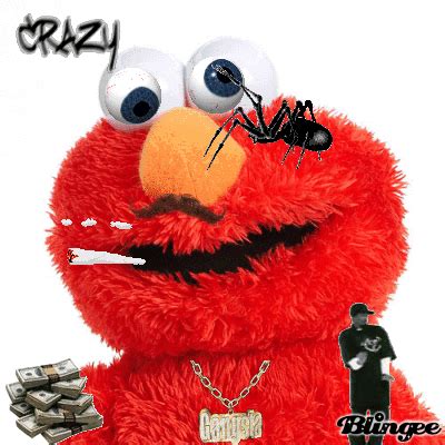 elmo gangster picture  blingeecom