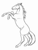 Horse Rearing Coloring Pages Mustang Drawing Appaloosa Printable Head Realistic Drawings Horses Color Deviantart Outline Draft Sketch Print Getcolorings Google sketch template