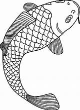 Coloring Fish Pages Coy Getcolorings Koi sketch template