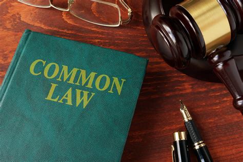 definitions  examples  common law