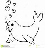 Seal Coloring Pages Baby Cute Swims Little Vector Antarctica Illustration Neo Animal sketch template