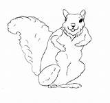 Squirrel Coloring Pages Printable Kids Print Preschool Flying Monkey Bestcoloringpagesforkids Library Clipart Fox sketch template