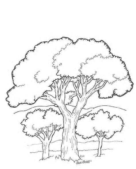 trees  leaves coloring  printable coloring page coloring home