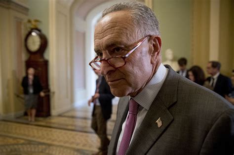 judgment day arrives  schumer red state dems politico