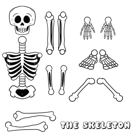 images  large printable skeleton template printable skeleton