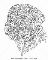 Labrador Coloring Pages Mandala Dog Adult Visit Retriever Adults sketch template