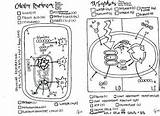 Coloring Sheet Energy Respiration Cellular Photosynthesis Teacherspayteachers Biology sketch template