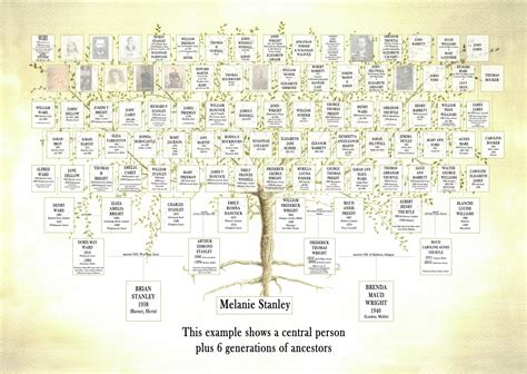 large genealogy family tree chart