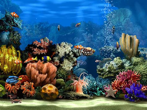 living marine aquarium  screensaver  windows screensavers planet aquarium screensaver
