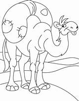 Dromadaire Camel Animaux Coloriage Bestcoloringpages Coloriages sketch template