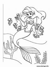 Sirene Arielle Imprimer Princesse Coloriages Enfant Pokemon Adulte Visiter sketch template