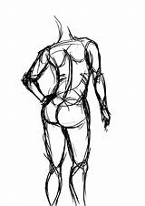 Line Anatomy Getdrawings Anatomical Nazari sketch template