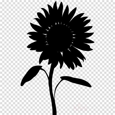 sunflower silhouette clipart   cliparts  images