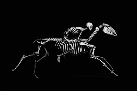 skeleton man riding  skeleton horse funny art picture poster wall