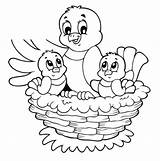 Bird Nest Coloring Drawing Pages Kids Printable Tweety Sweet Birds Baby Spring Sheets Sheet Little Getdrawings Beauyiful Wallpaper Wallpapers Face sketch template