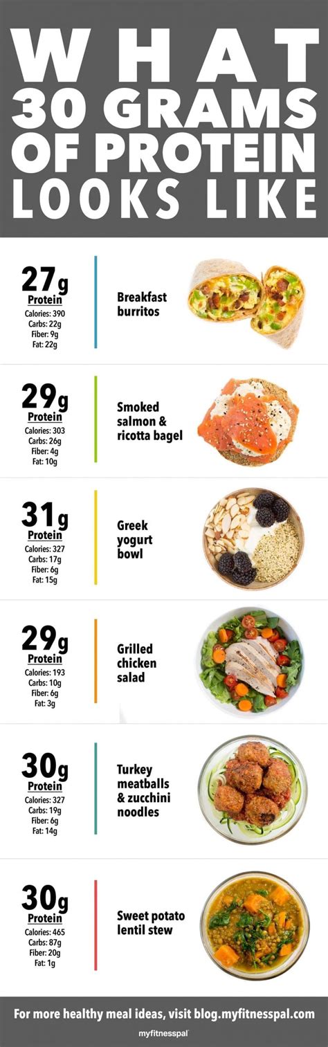 ideal amount  protein   infographic nutrition