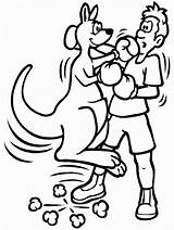 Boxing Coloring Kangaroo Pages Sports Fighting Cliparts Printable Guy Clipart Gloves Print Kids Boxer Easily Library Categories sketch template