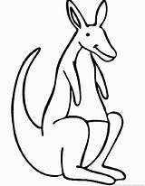 Kangroo sketch template