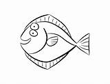 Coloring Flounder Barracuda Comments Getcolorings sketch template