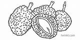 Durian Ks1 Twinkl sketch template