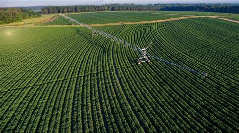 flight  drones  improve irrigation efficiency sugar producer magazine