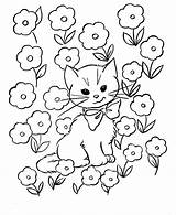 Coloring Easter Kids Pages Cat Fun Kitty Printable Color Sheets Cats Children Flowers sketch template