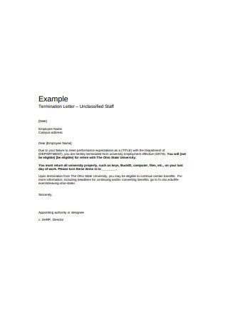 sample wrongful termination letter templates   ms word