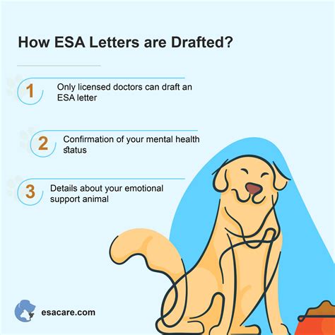 certification needed    emotional support animal esa care