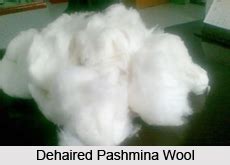 pashmina wool indian clothing