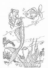 Ausmalbilder Meerjungfrauen Meerjungfrau Malvorlagen Einhorn Erwachsene Feen Meist Gedownloadete sketch template