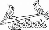 Coloring Pages Cardinals Louis St Cardinal Reds Baseball Cincinnati Blues Logo Printable Adult Drawing Red Mlb Bird Color Line Sf sketch template